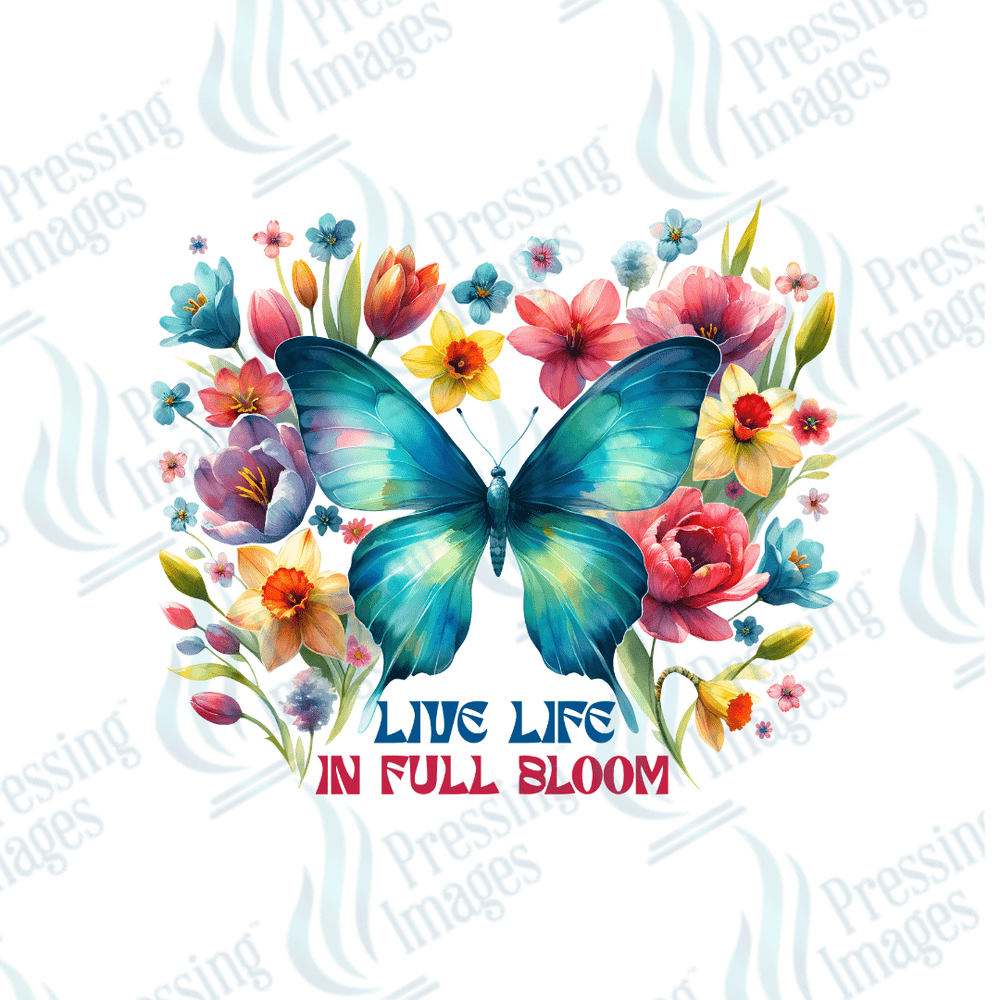 DTF 3760 Butterfly - Pressing Images