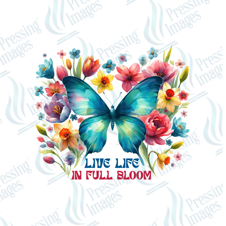 DTF 3760 Butterfly - Pressing Images