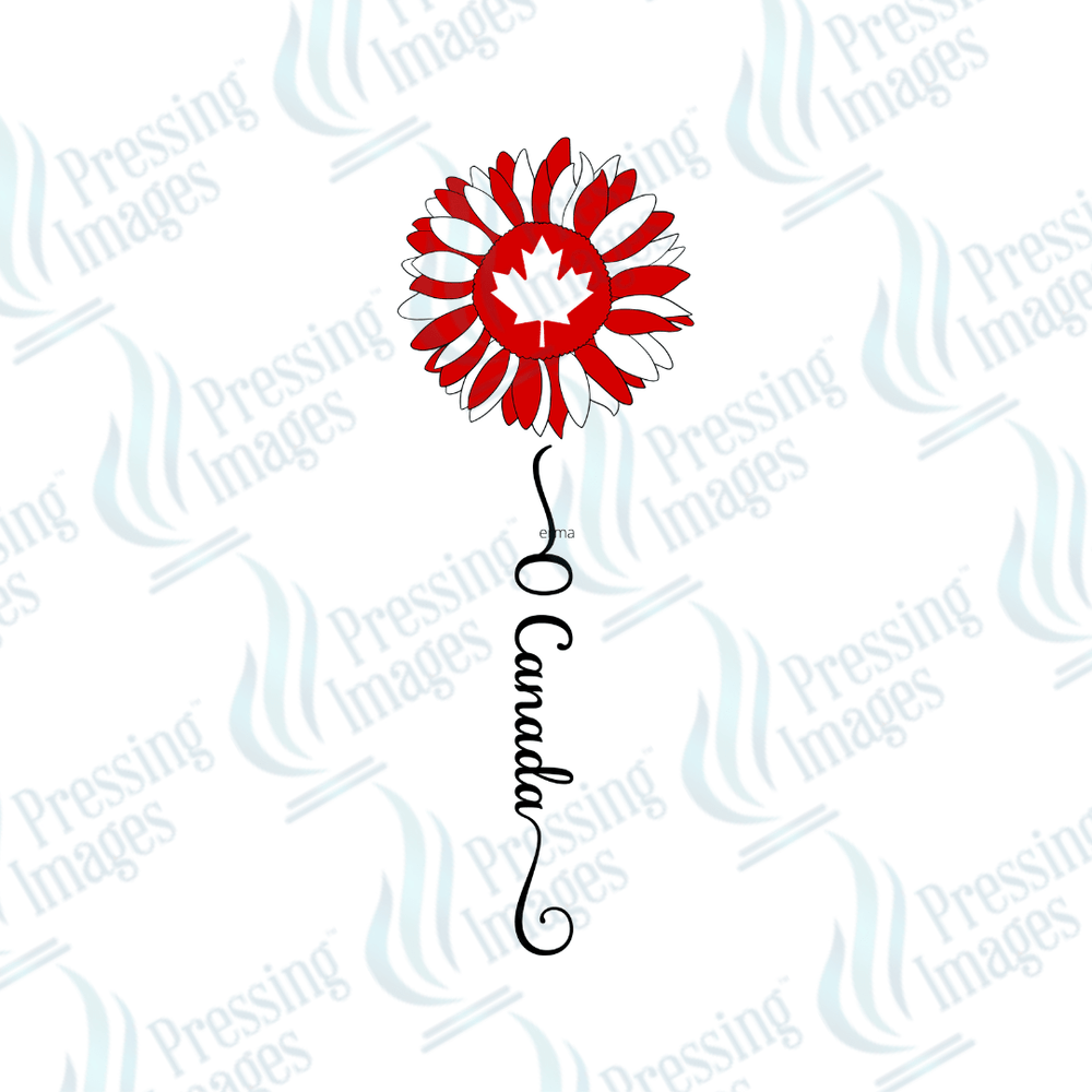 DTF 3838 O Canada Sunflower - Pressing Images