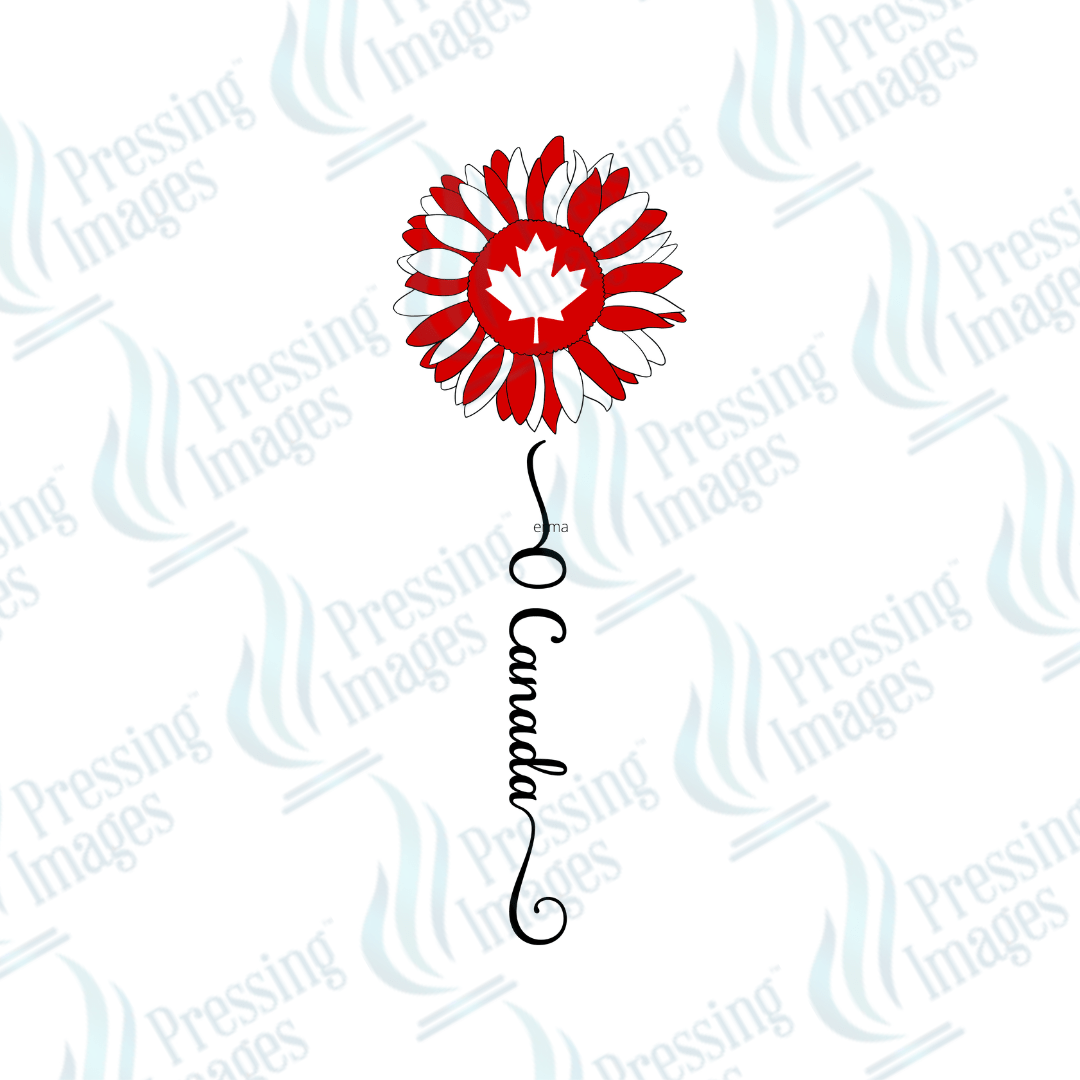 DTF 3838 O Canada Sunflower - Pressing Images