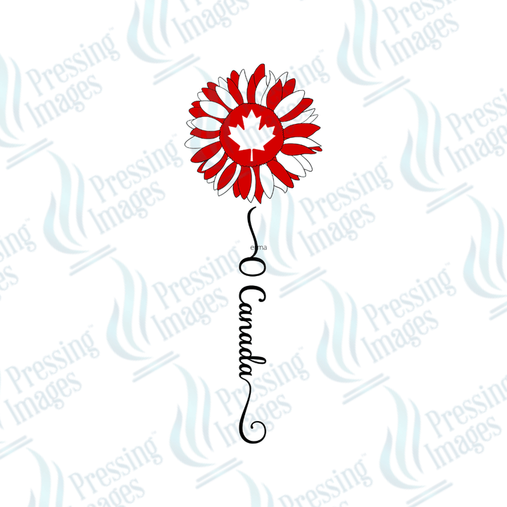 DTF 3838 O Canada Sunflower - Pressing Images