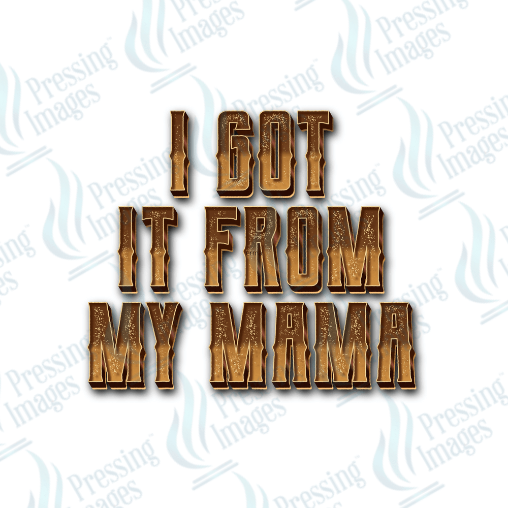 DTF 3843 She Got It From Me , I Got It From My Mama - Pressing Images