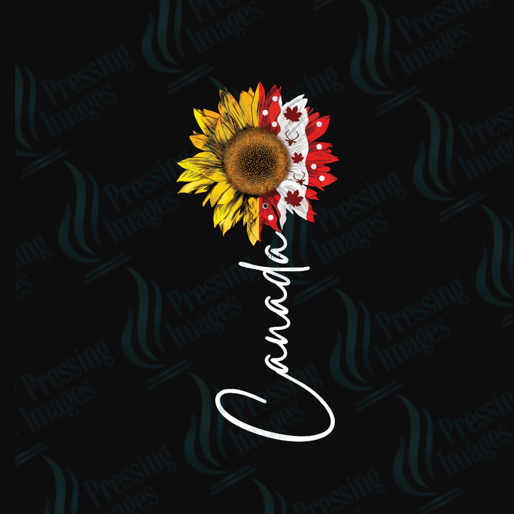 DTF 3853 Canada Sunflower - Pressing Images