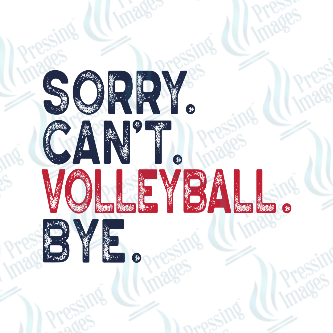 DTF 3863 Sorry Can't - Pressing Images