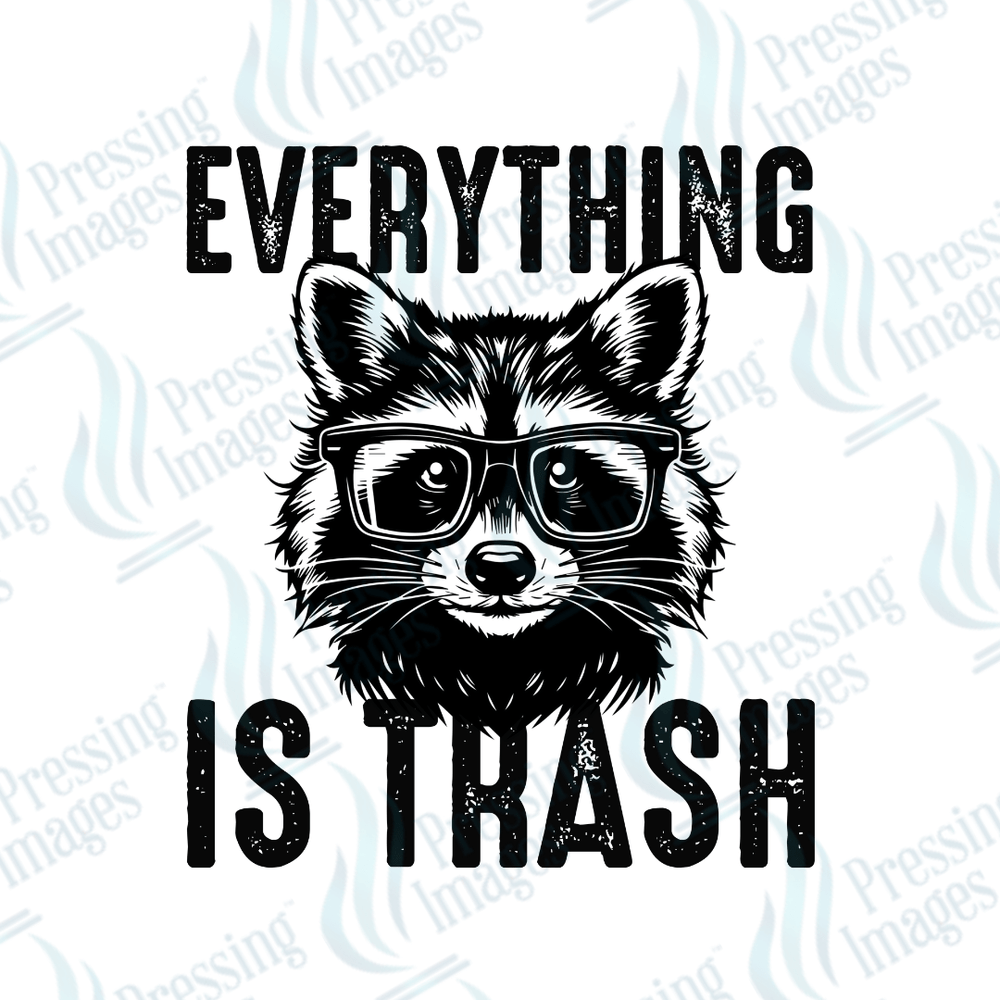 DTF 3869 Everything is Trash - Pressing Images