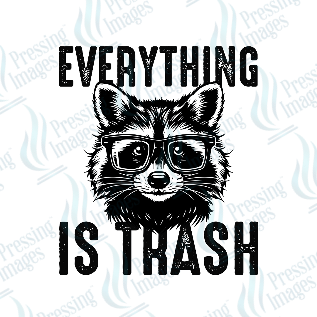 DTF 3869 Everything is Trash - Pressing Images