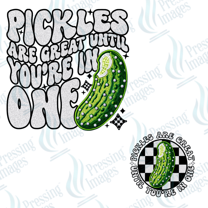 DTF 3882 Pickles Are Great Until You're In One w/sleeve - Pressing Images