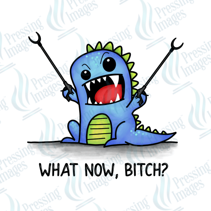 DTF 3890 What Now Bitch - Pressing Images
