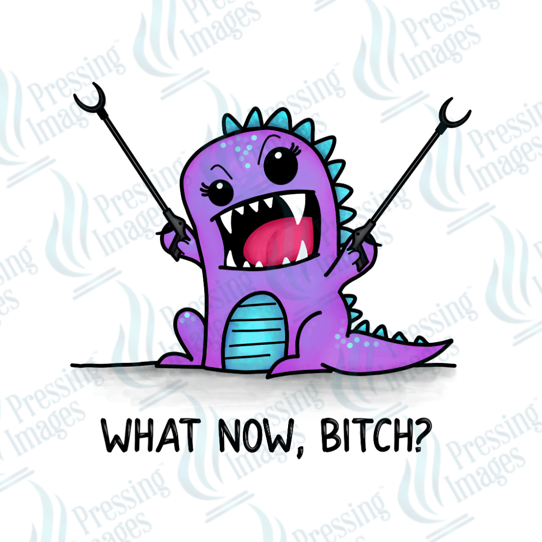 DTF 3890 What Now Bitch - Pressing Images