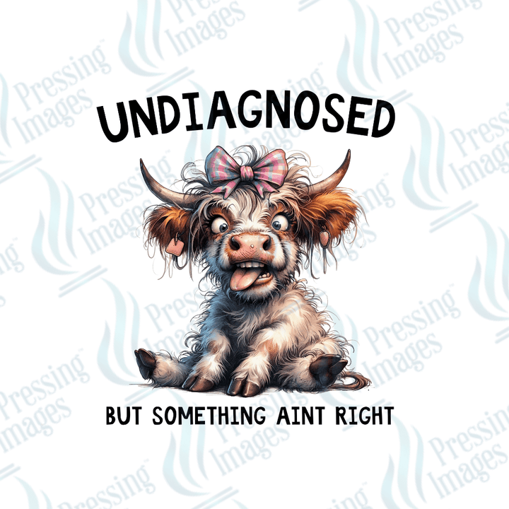 DTF 3911 Undiagnosed But Something Ain't Right - Pressing Images