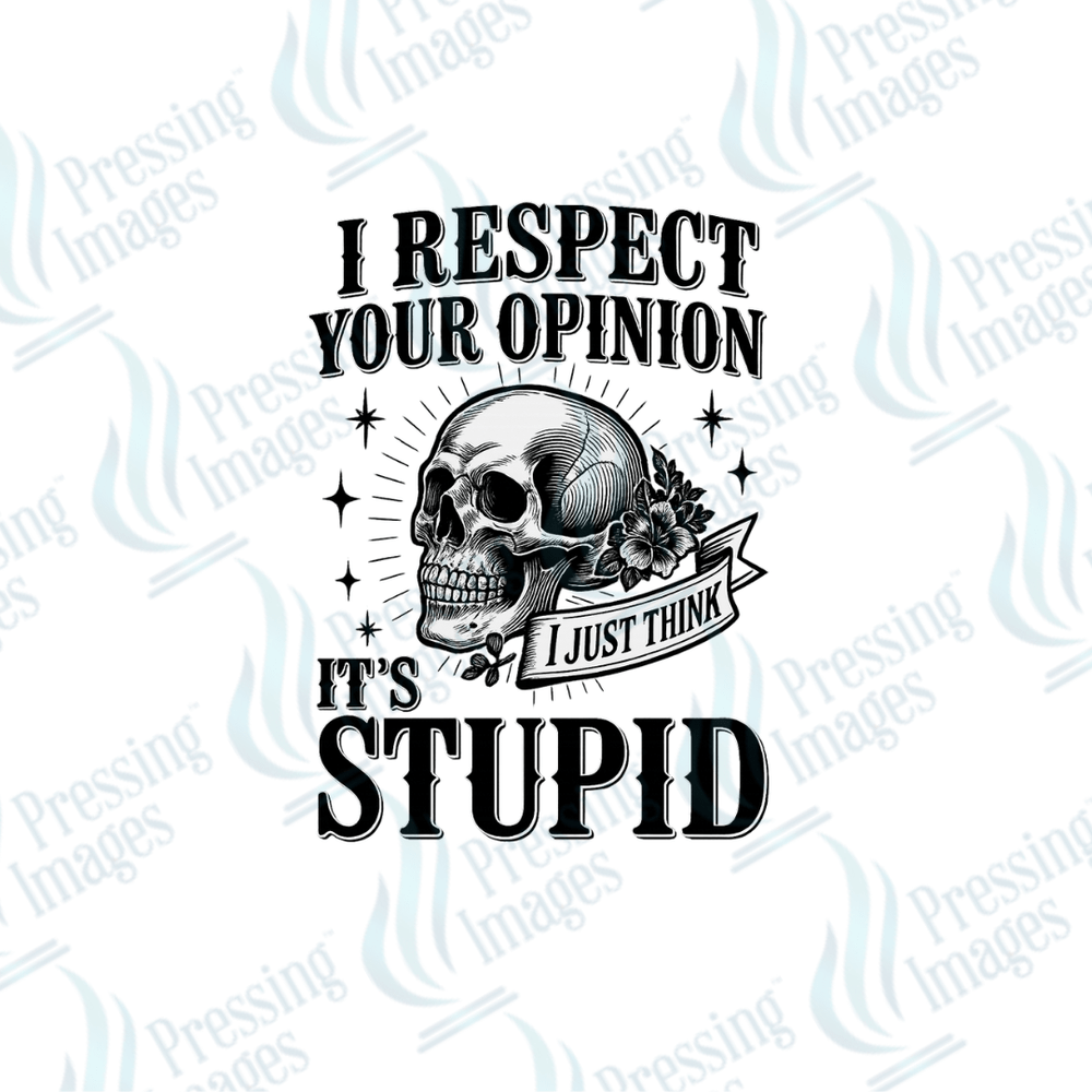 DTF 3977 I Respect Your Opinion - Pressing Images