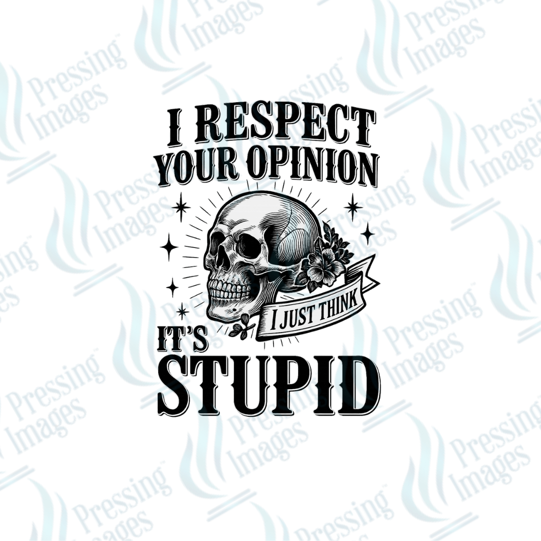DTF 3977 I Respect Your Opinion - Pressing Images