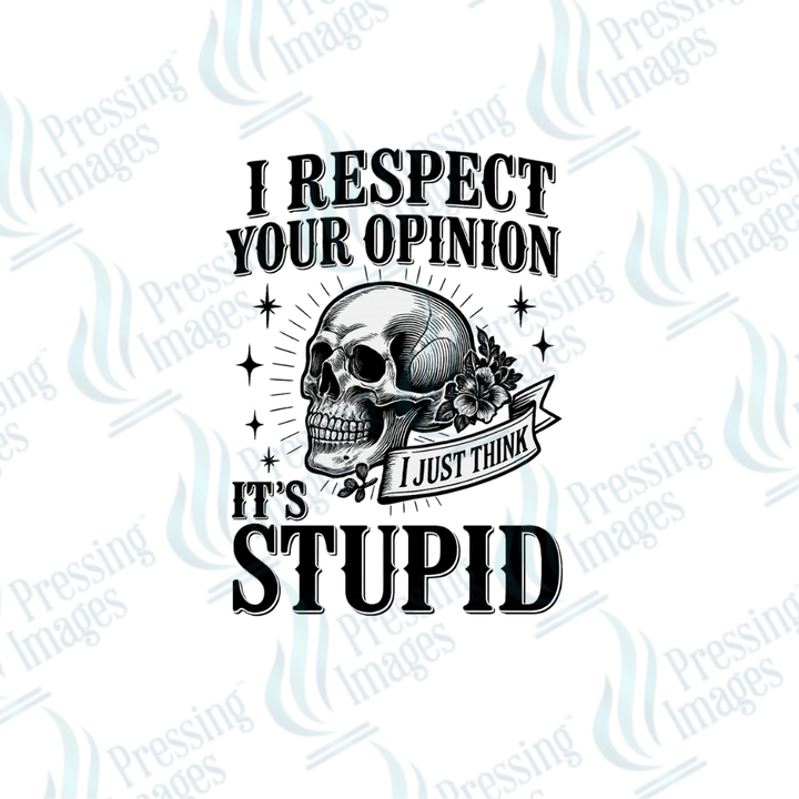 DTF 3977 I Respect Your Opinion - Pressing Images