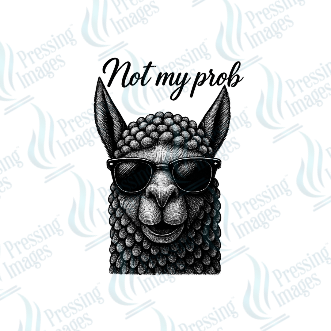 DTF 3984 Llama Not My Prob - Pressing Images