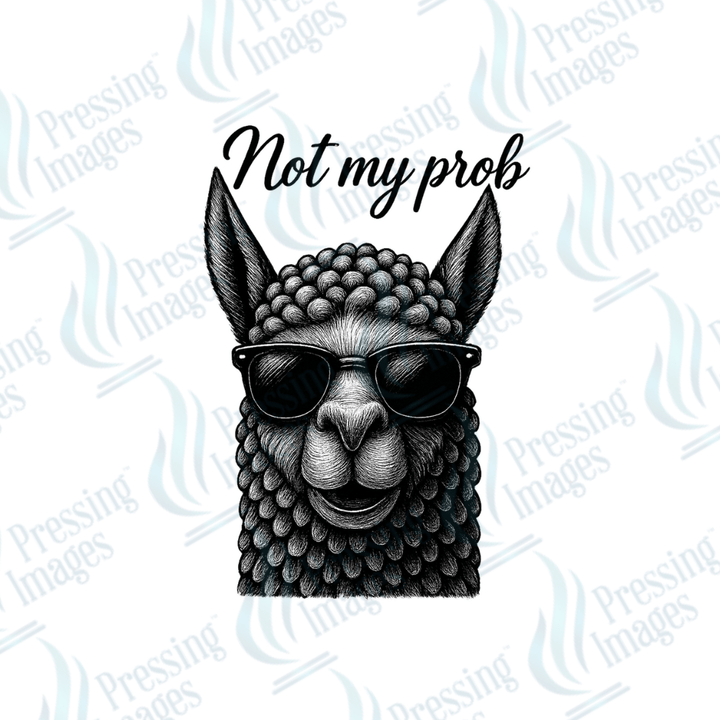 DTF 3984 Llama Not My Prob - Pressing Images