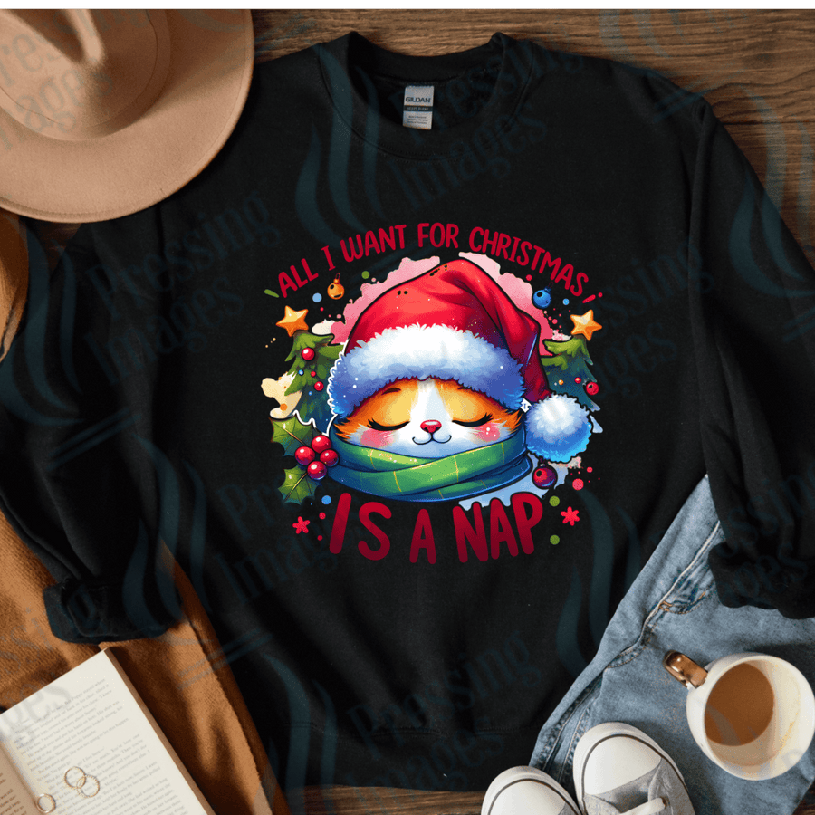 DTF 4021 All i want for christmas is a nap - Pressing Images