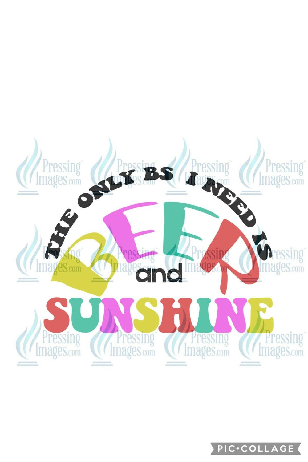 DTF: 502 The only BS I need is beer and sunshine - Pressing Images