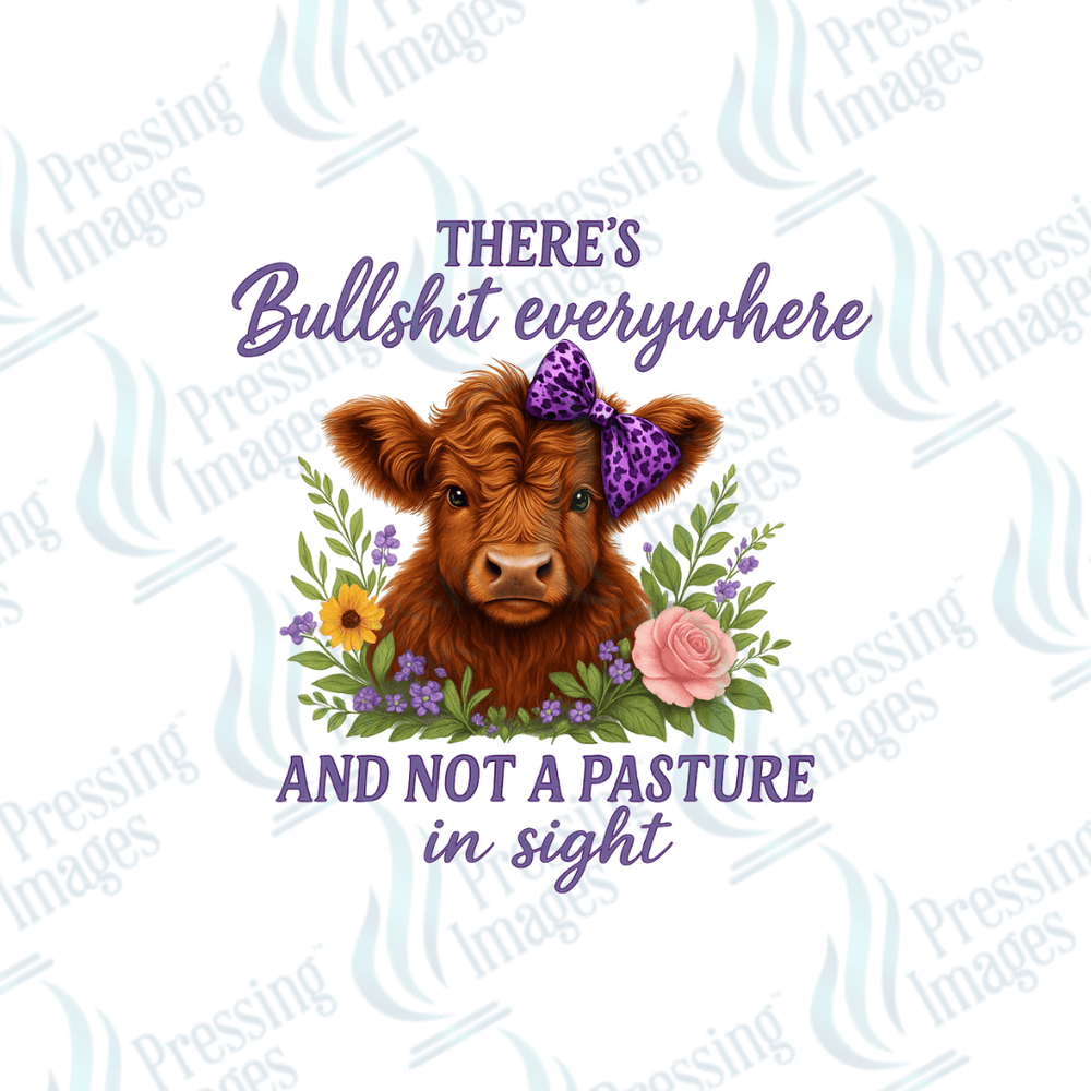 DTF 6037 There's Bullshit Everywhere - Pressing Images