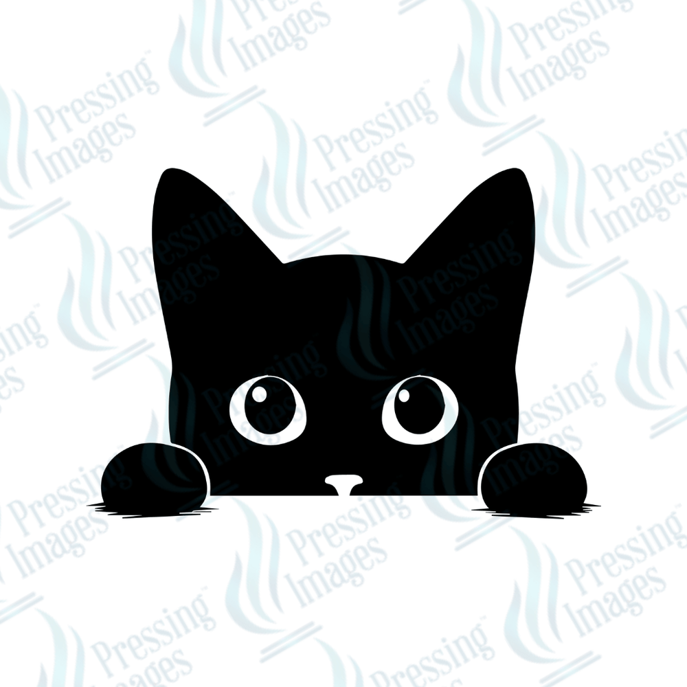 DTF 6047 Black Cat - Pressing Images