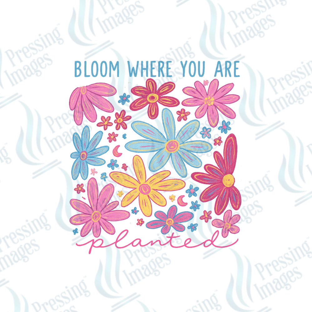 DTF 6050 Bloom Where You Are - Pressing Images