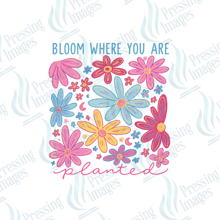 DTF 6050 Bloom Where You Are - Pressing Images