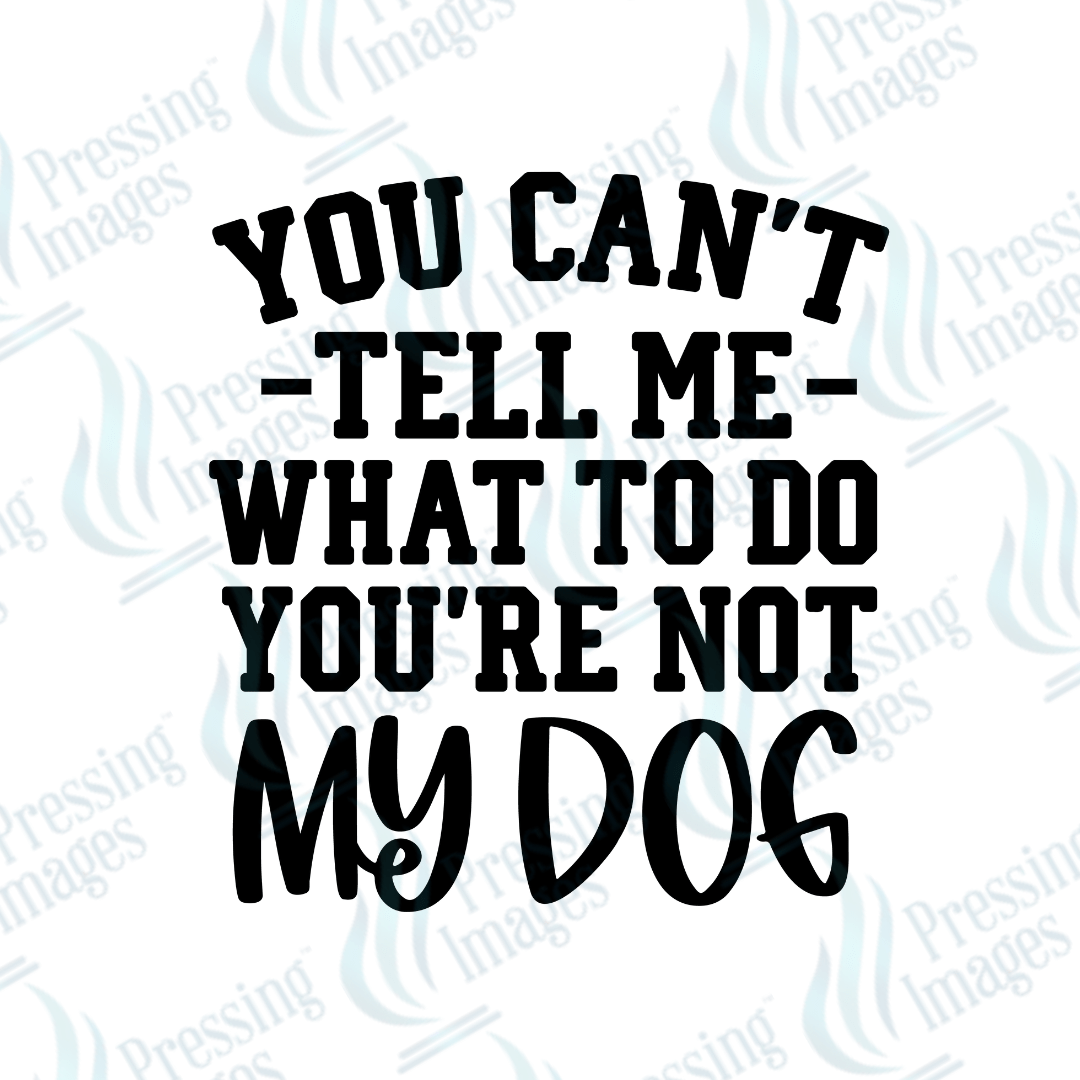 DTF 6062 Can't Tell Me What To Do - Pressing Images