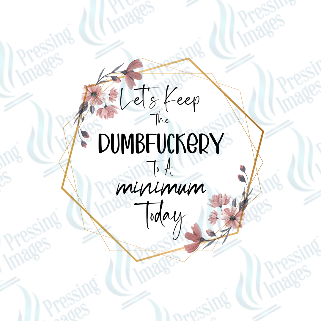 DTF 6110 Let's Keep The Dumbfuckery To A Minimum Today - Pressing Images