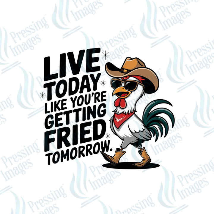 DTF 6120 Fried - Pressing Images