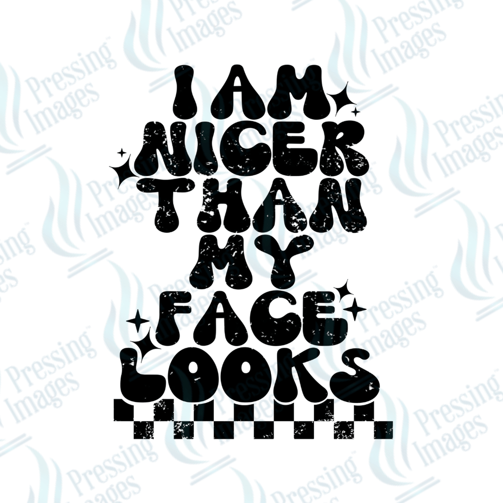 DTF 6154 I Am Nicer Than My Face Looks - Pressing Images