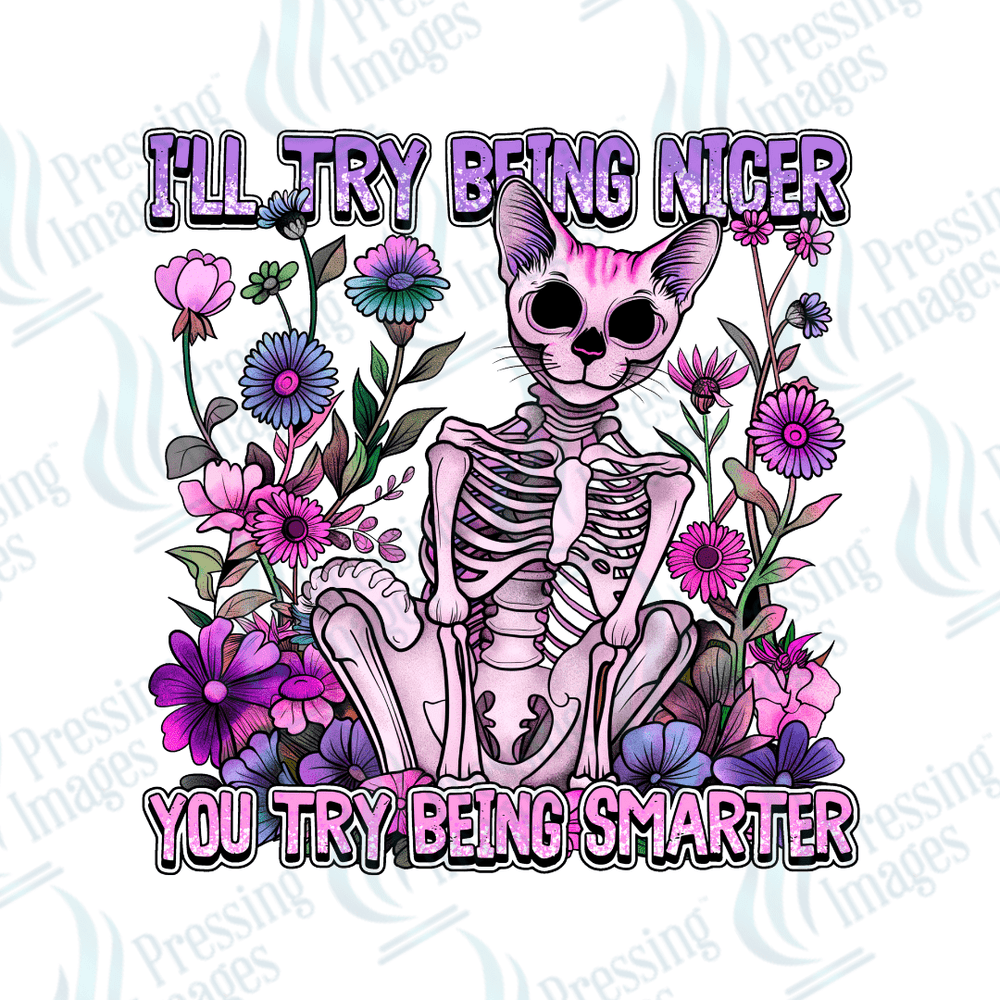 DTF 6168 I'll Try Being Nicer - Pressing Images