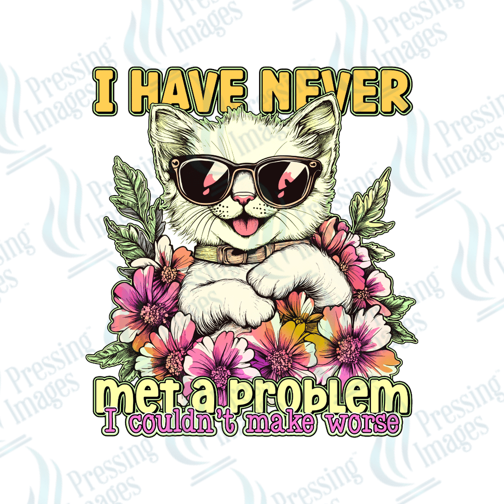 DTF 6169 I Have Never Met A Problem I Couldn't Make Worse - Pressing Images