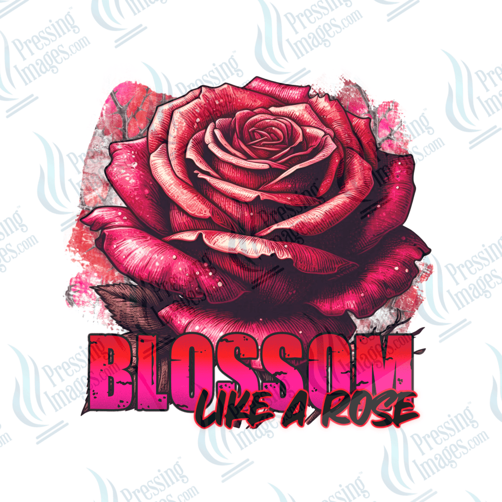 DTF 6449 Blossom - Pressing Images