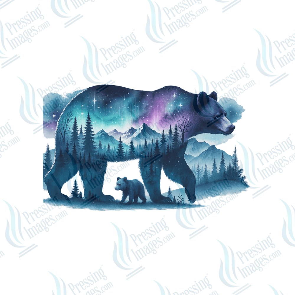 DTF 6512 Starry Night Bear - Pressing Images