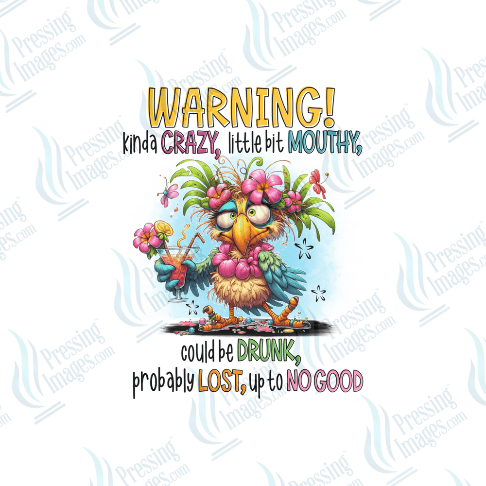 DTF 6520 Warning Kinda Crazy - Pressing Images