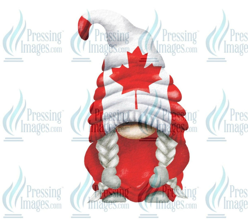 DTF: 656 Canadian Gnome 1 - Pressing Images