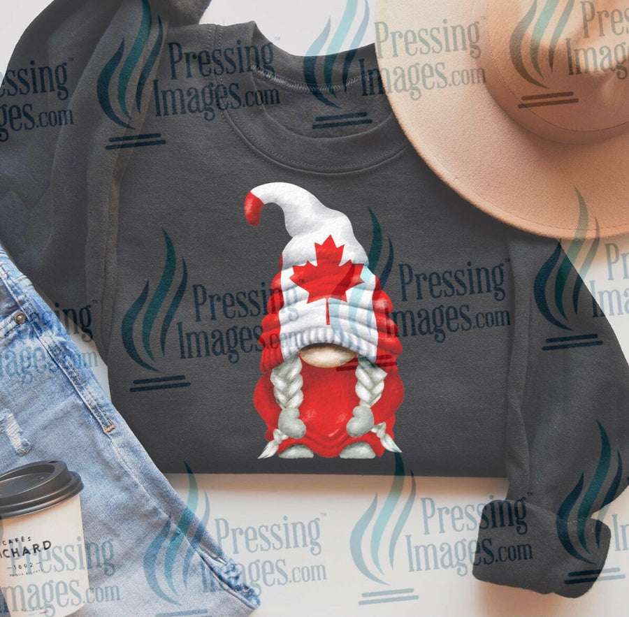 DTF: 656 Canadian Gnome 1 - Pressing Images