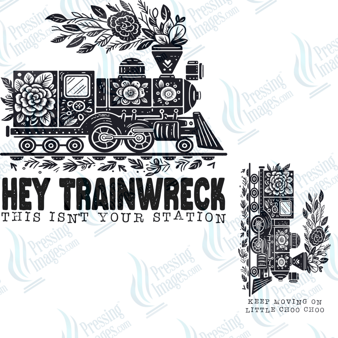 DTF 6564 Hey Trainwreck w/sleeve 2 parts - Pressing Images
