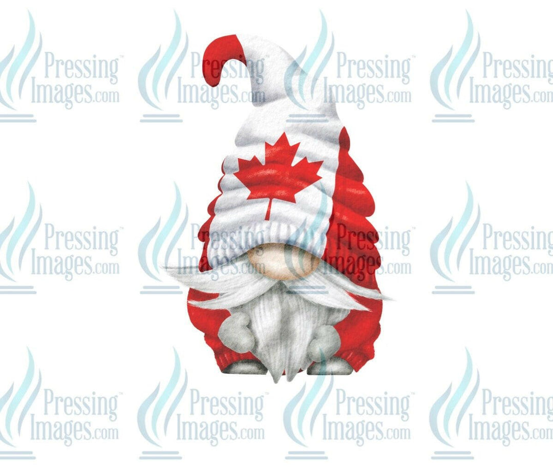 DTF: 657 Canadian Gnome 2 - Pressing Images