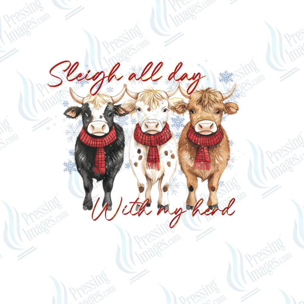 DTF 6633 Sleigh All Day - Pressing Images