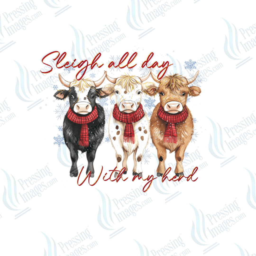 DTF 6633 Sleigh All Day - Pressing Images