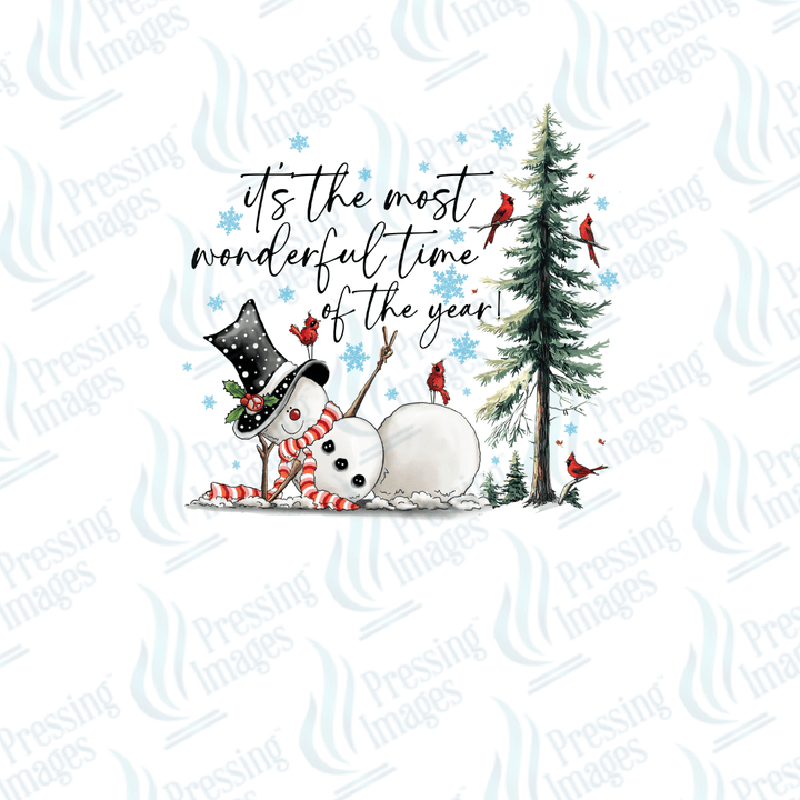 DTF 6696 It's The Most Wonderful Time Of The Year - Pressing Images