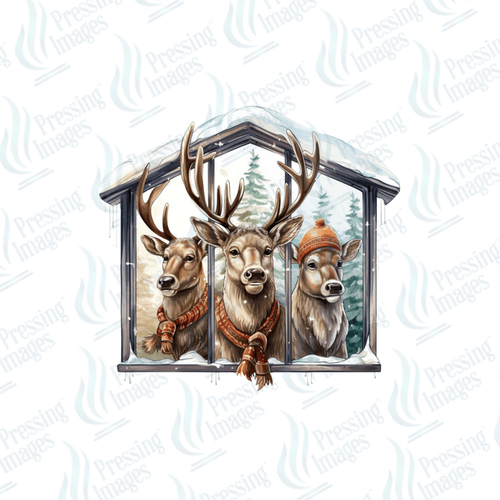 DTF 6712 Winter Family - Pressing Images