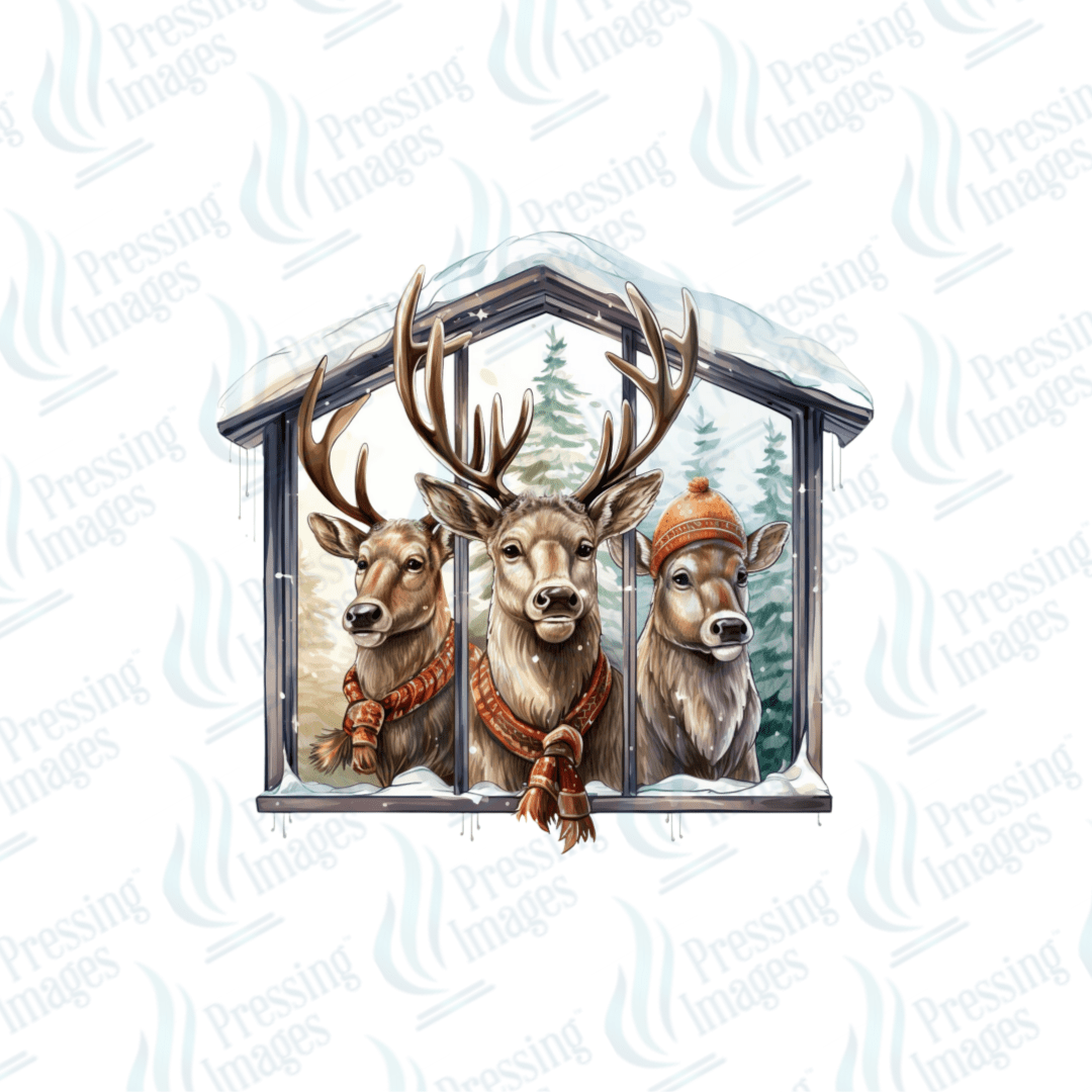 DTF 6712 Winter Family - Pressing Images