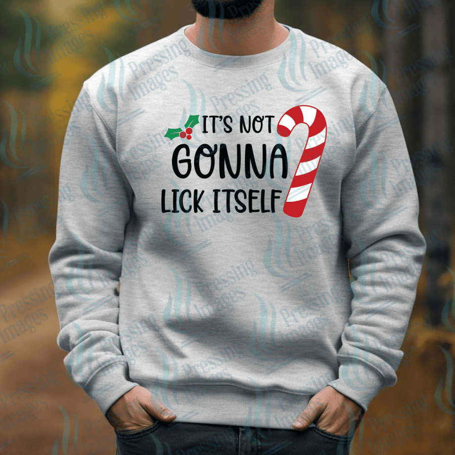 DTF 6723 It's Not Gonna Lick Itself - Pressing Images