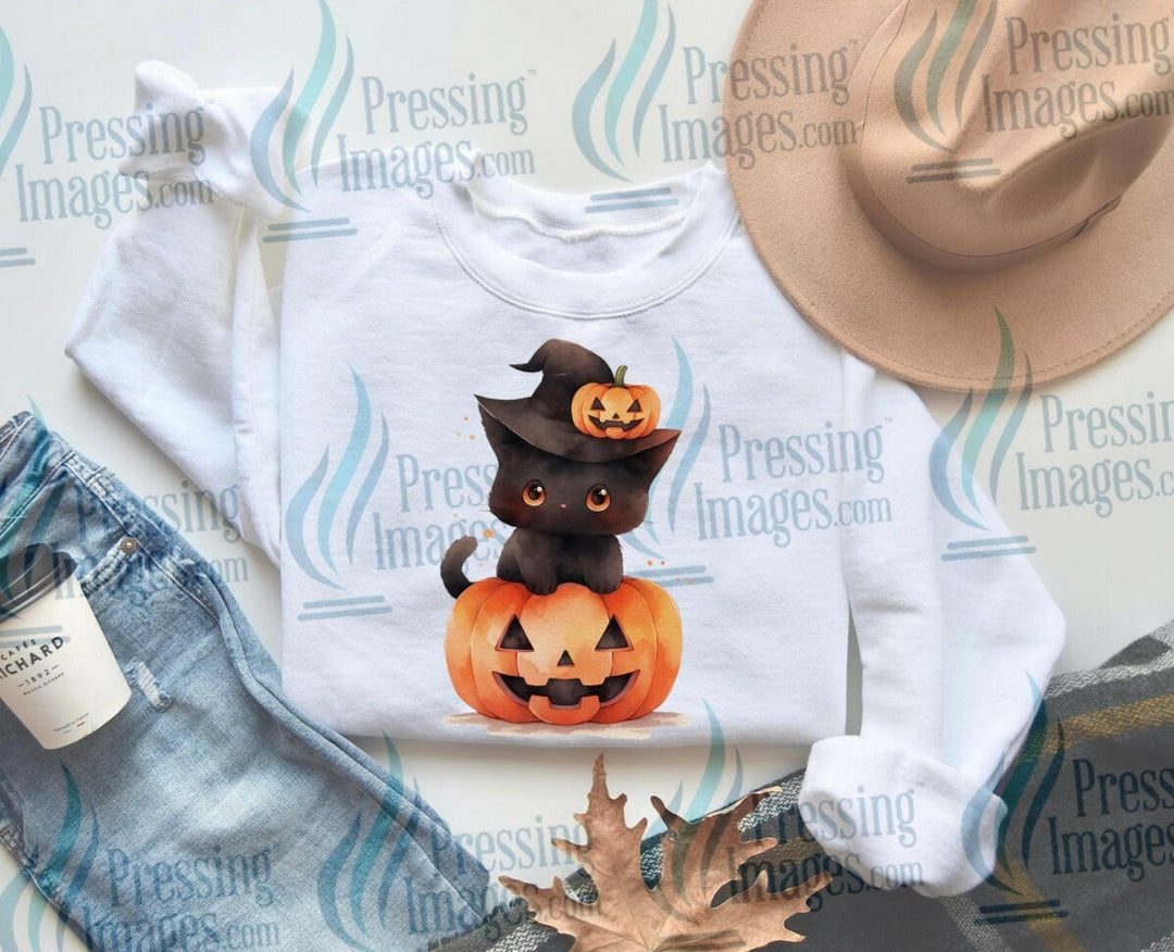 DTF: 681 Black cute cat and pumpkin - Pressing Images