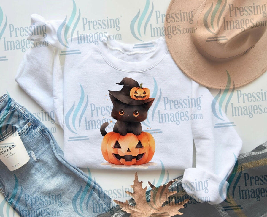 DTF: 681 Black cute cat and pumpkin - Pressing Images