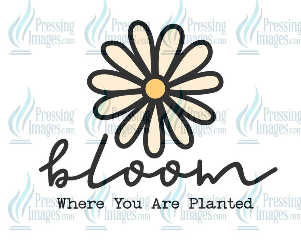 DTF: 692 bloom where you are planted - Pressing Images