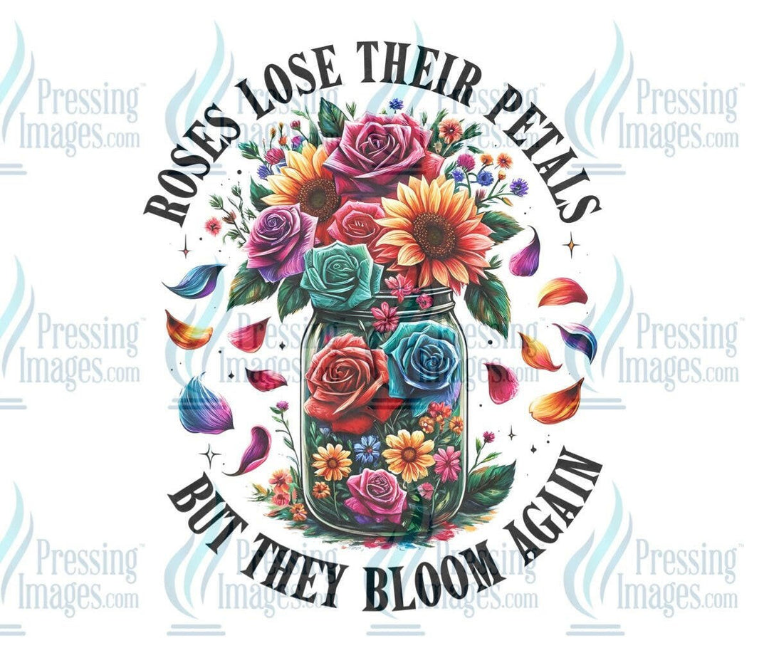 DTF: 792 Roses lose there petals - Pressing Images