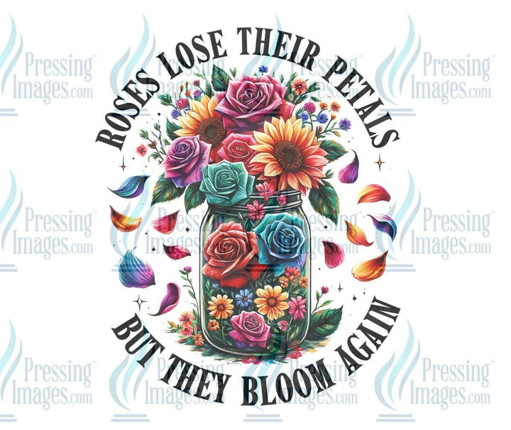 DTF: 792 Roses lose there petals - Pressing Images