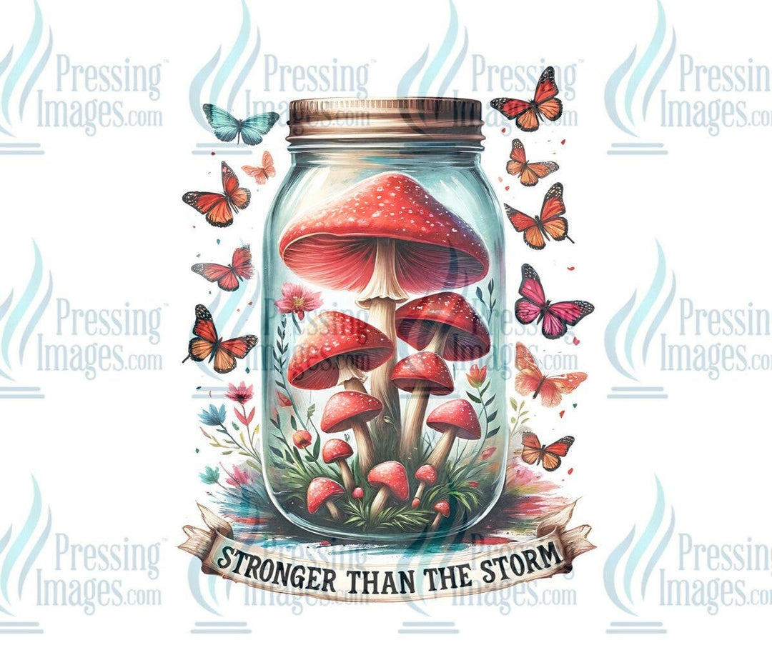 DTF: 803 Stronger than the storm - Pressing Images